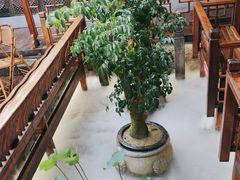 -三只耳火锅(宽窄巷子店)