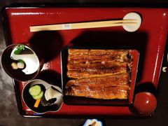 -料亭菊水楼