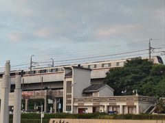 -宝安西湾红树林湿地公园