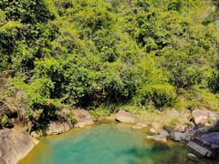 -广州白江湖森林公园