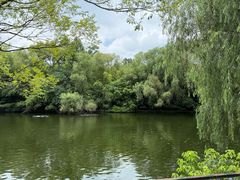 -合肥野生动物园