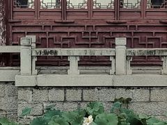 -厦门园林博览苑