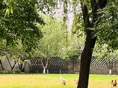 -春风习习