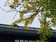 -龙华寺