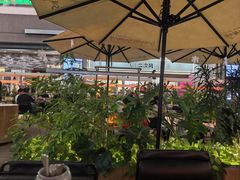 -Simple Yummy简单美味(上邦百汇城店)