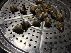 花螺-董大蒸货(方塔园店)