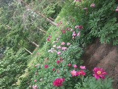 -长春公园(普阳街道)