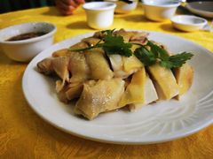 正宗白切鸡-巫记鸡饭店
