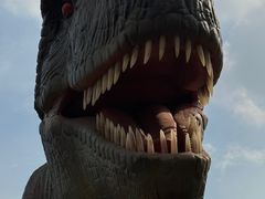 -田园东方蜜桃村的田野营地