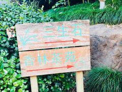 -杭州西湖风景名胜区-三生石