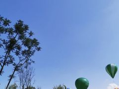 -黄龙溪欢乐田园