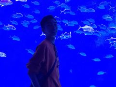 -波塞冬旅游度假区