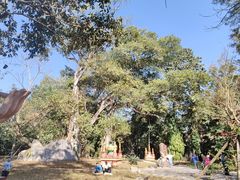 -瑞丽独树成林风景区