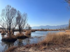 -野鸭湖国家湿地公园