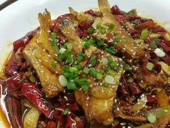 扒皮鱼-58度品质川菜馆(经一路店)