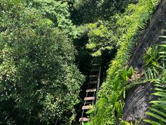 -海南白石岭旅游区