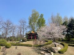 -沈阳植物园