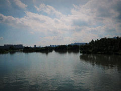 -三垟湿地