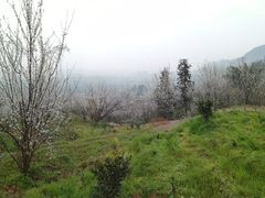 -樱桃山旅游景区