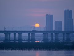 -海堤纪念公园