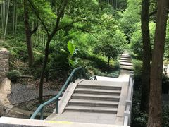 -东明山森林公园
