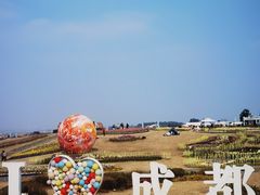 -空港花田景区