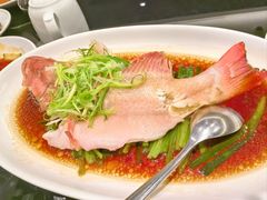 -新南华大酒店(广中店)