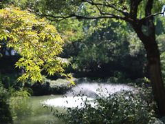-上海醉白池公园