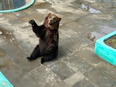 -西霞口神雕山野生动物世界