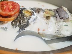 -全乐鱼馆·淳牌有机鱼直营店