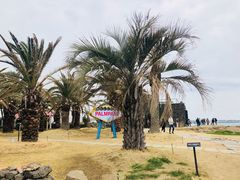 -Cafe Aewol Monsant