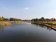 -羊亭河湿地公园