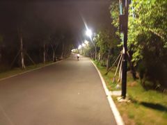 -东湖落雁景区