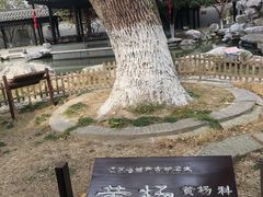 -口岸雕花楼