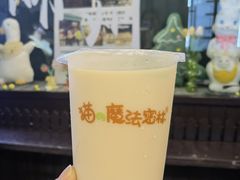 -猫的魔法密林(衣裳街店)