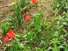 -长春公园(普阳街道)