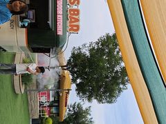 -爪吧宠物乐园 (温榆河示范区店)