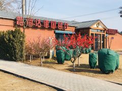 -普兰达德国餐厅·德式脆皮烤猪肘·自酿啤酒(观唐店)