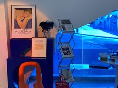 -Blue Concept Cafe&Farm·關於藍
