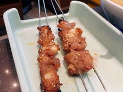 -邢氏老太太烤串(北兴街店)
