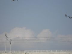-光明小镇欢乐田园
