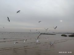 -老虎石海上公园