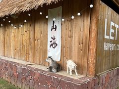 -龙岩森林水乡景区