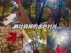 -长春市南湖公园