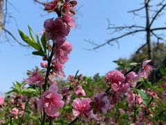 -广州市白云山风景名胜区