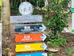 -芦仙山景区-飞越丛林探险乐园