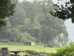 -石燕湖生态旅游景区