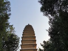 -洛阳白马寺