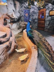 -Zoolung Zoolung动物主题公园(海信广场店)