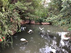 -河源客天下-温泉小镇